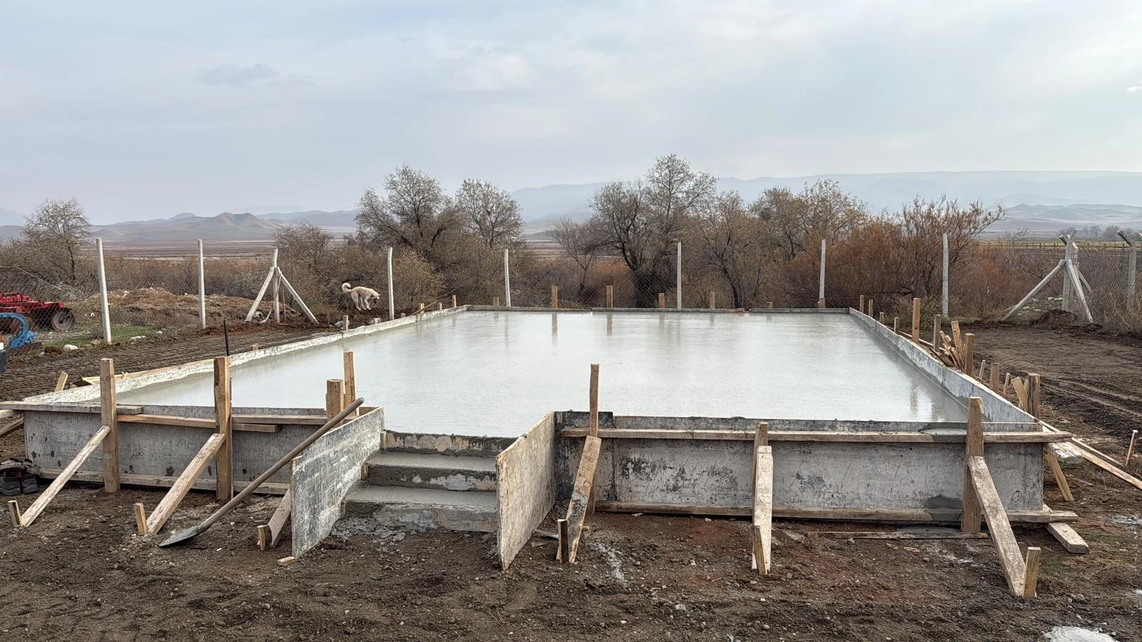 galeri_20260311_193005_e38f82cb0bceebe81df6